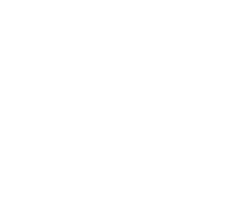 meticulous logo